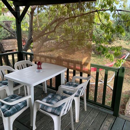 Accommodation Suzy 扎达尔 外观 照片