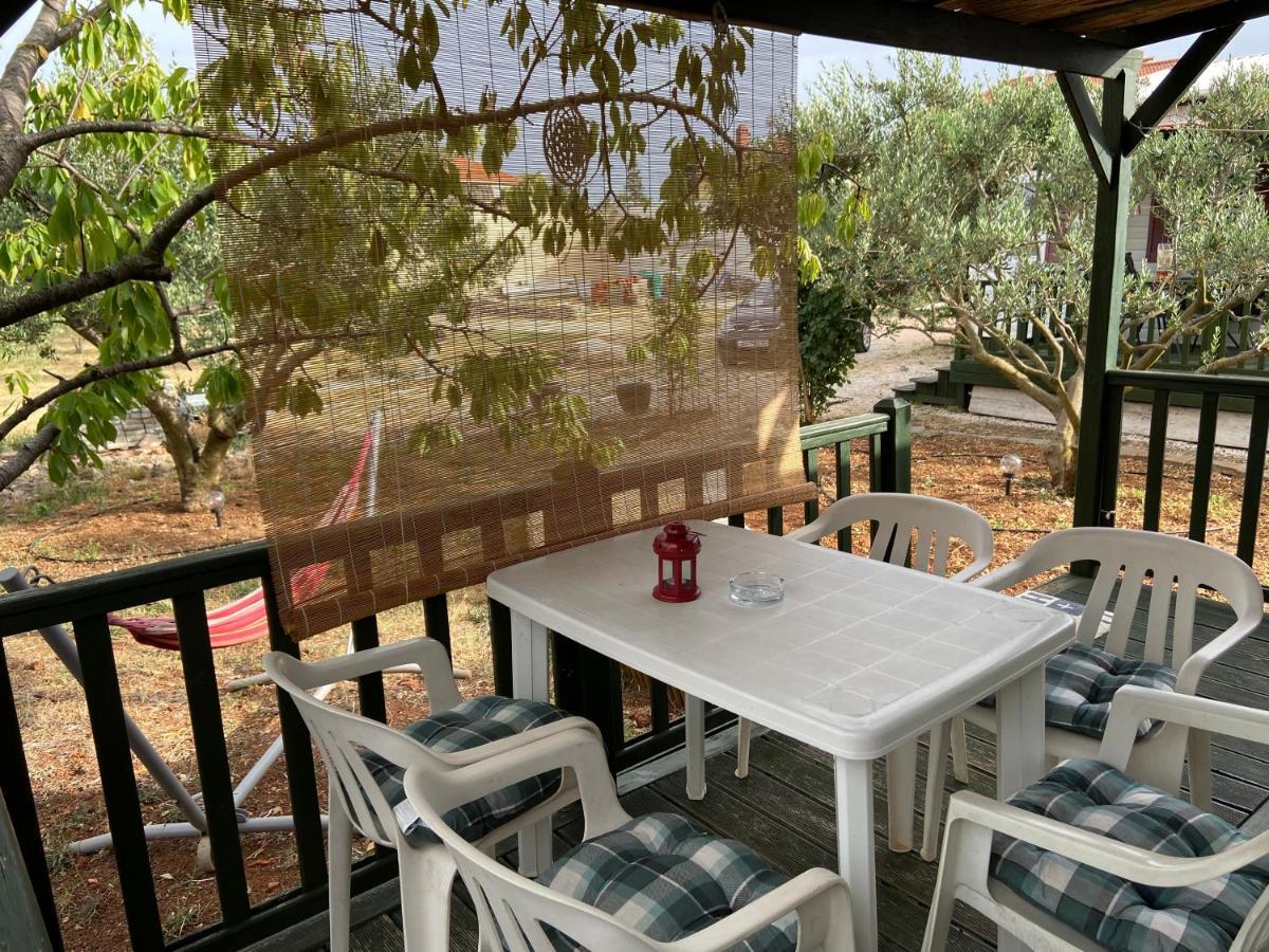Accommodation Suzy 扎达尔 外观 照片