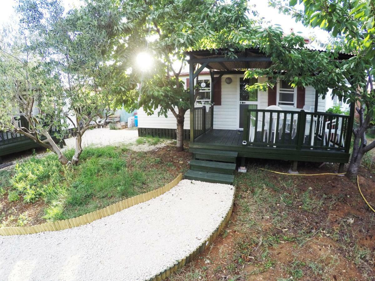 Accommodation Suzy 扎达尔 外观 照片