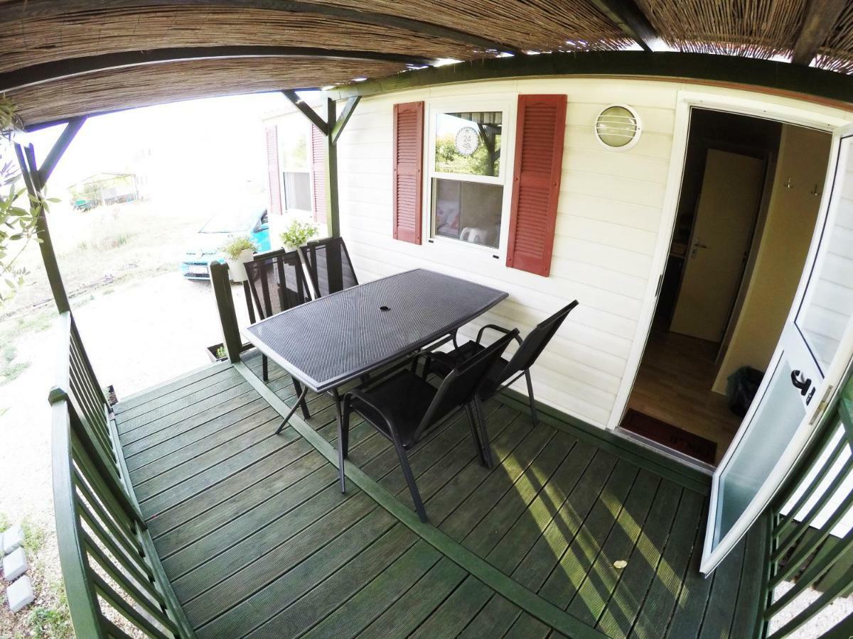 Accommodation Suzy 扎达尔 外观 照片